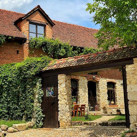 Отель Casa Thea Cheile Nerei Socolari Экстерьер фото