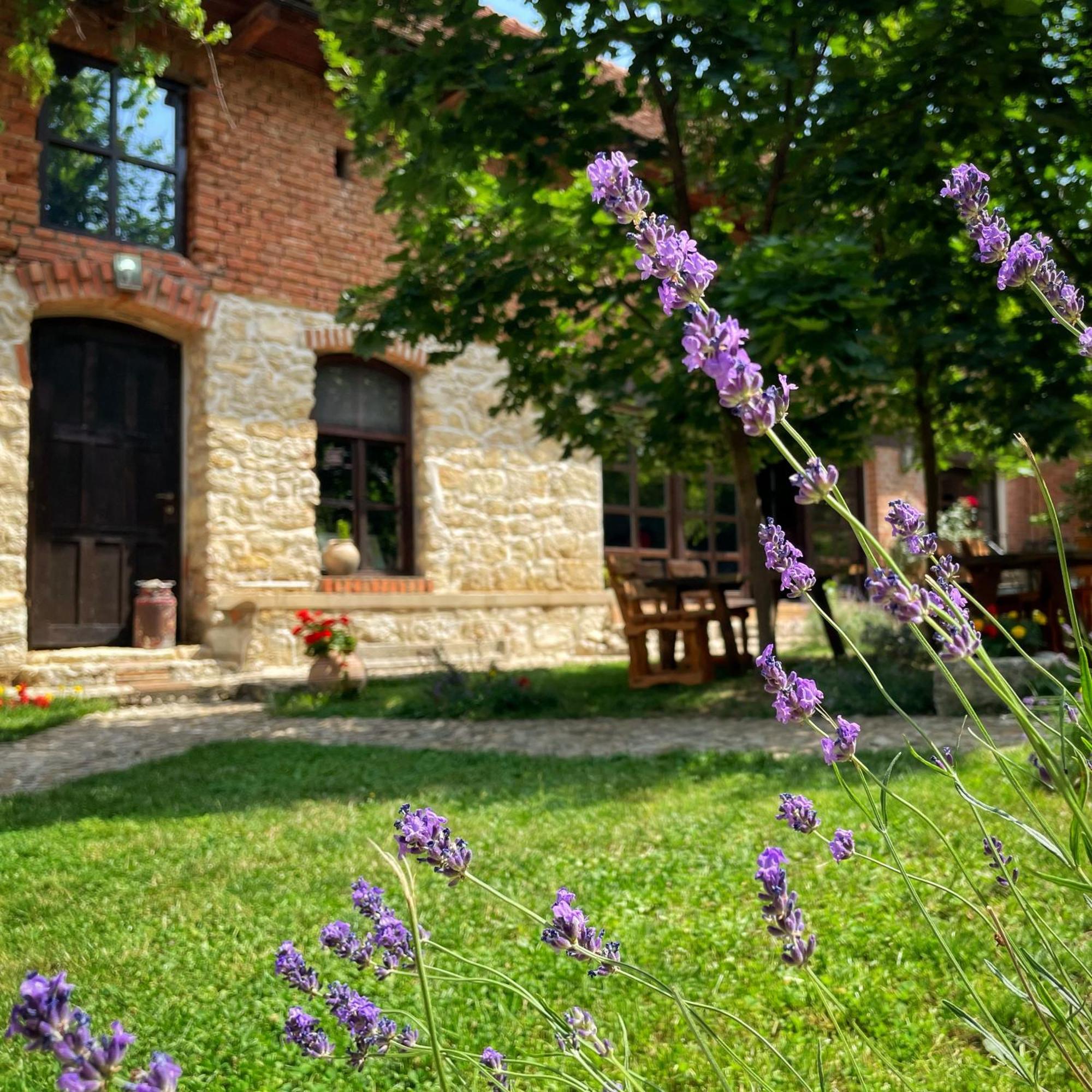 Отель Casa Thea Cheile Nerei Socolari Экстерьер фото